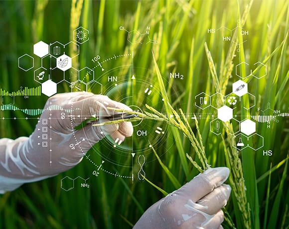 Agriculture